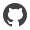 GitHub icon