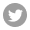 Twitter icon